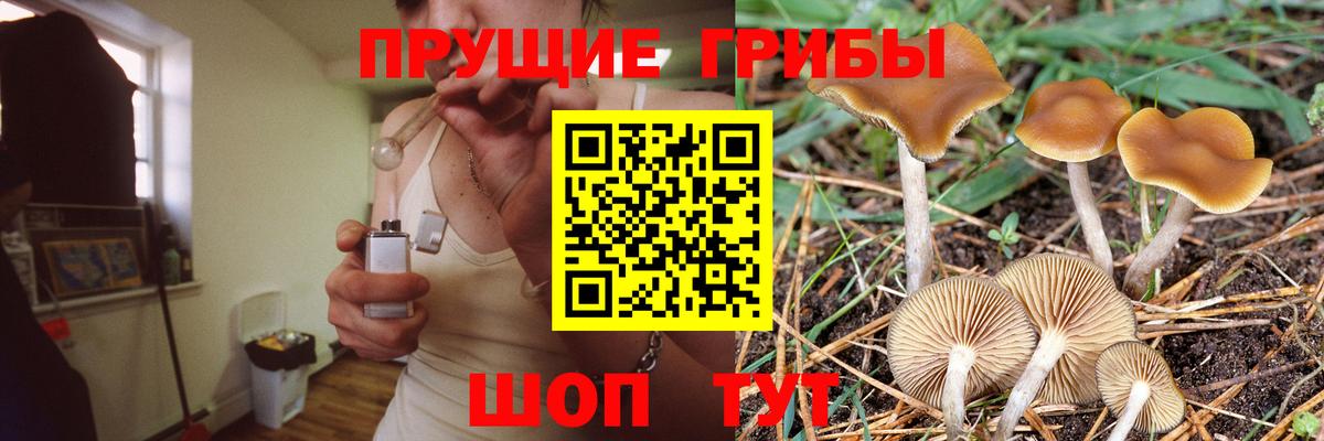 Кириши  Галлюциногенные грибы GOLDEN TEACHER  Вход с VPN 